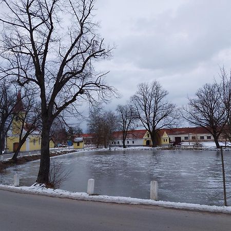 Ubytovani U Dvoraku Veselí nad Lužnicí Zewnętrze zdjęcie